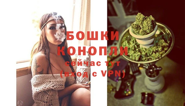 крисы Архангельск