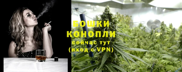 СК Медвежьегорск
